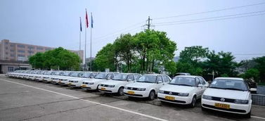 棗莊1月駕校培訓(xùn)質(zhì)量排名出爐，速培學(xué)車實力如何？